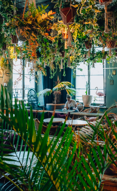 385x630-dsc09123